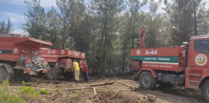 Hatay’daki orman yangınında 1 hektarlık alan zarar gördü