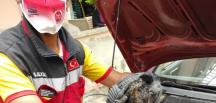 Otomobilin motor bölümünde sıkışan kediyi itfaiye kurtardı