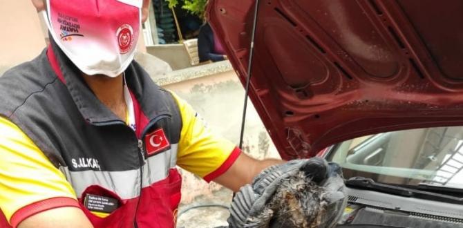 Otomobilin motor bölümünde sıkışan kediyi itfaiye kurtardı