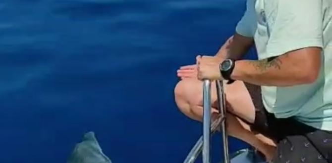 Yunuslar balıkçının “gel” diye seslenişini karşılıksız bırakmadı