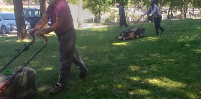 PARKLARDA ÇİM BİÇME VE BAKIM ÇALIŞMALARI