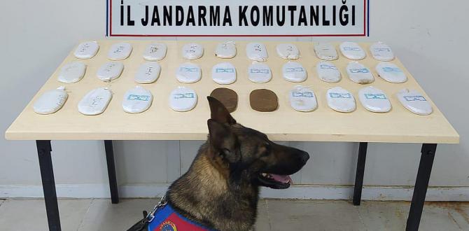 Hatay’da uyuşturucu operasyonu: 2 gözaltı