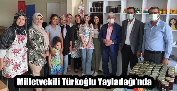 Milletvekili Türkoğlu Yayladağı’nda