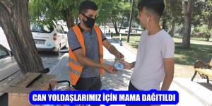 CAN YOLDAŞLARIMIZ İÇİN MAMA DAĞITILDI