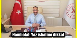 Hambolat: Yaz ishaline dikkat