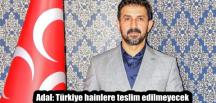 Adal: Türkiye hainlere teslim edilmeyecek