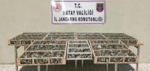 Hatay’da 3 bin 754 adet saka kuşu ele geçirildi