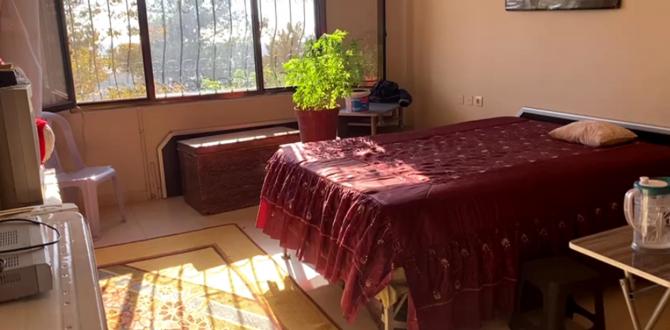 Yatak odasındaki saksılarda kenevir yetiştirmiş