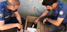 Ayağı kırılan yavru kedinin yardımına polisler yetişti