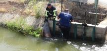 Sulama kanalında erkek cesedi bulundu