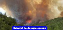 Hatay’da 3 ilçede peşpeşe yangın