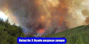 Hatay’da 3 ilçede peşpeşe yangın