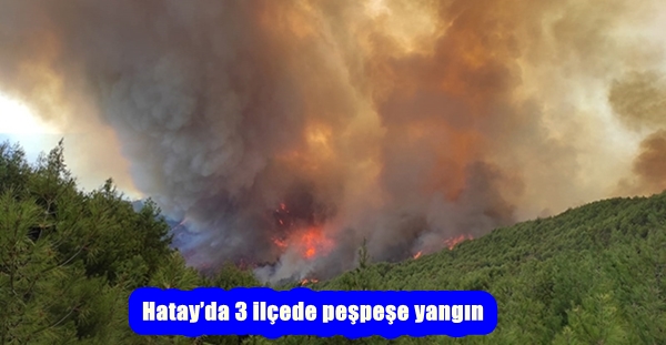 Hatay’da 3 ilçede peşpeşe yangın