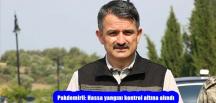 Pakdemirli: Hassa yangını kontrol altına alındı