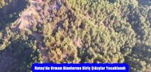 Hatay’da Orman Alanlarına Giriş Çıkışlar Yasaklandı