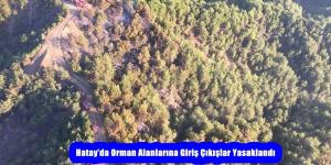 Hatay’da Orman Alanlarına Giriş Çıkışlar Yasaklandı