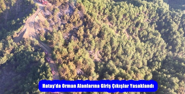 Hatay’da Orman Alanlarına Giriş Çıkışlar Yasaklandı