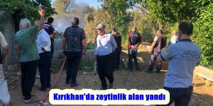 Kırıkhan’da zeytinlik alan yandı