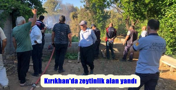 Kırıkhan’da zeytinlik alan yandı