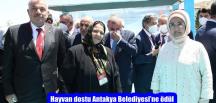 Hayvan dostu Antakya Belediyesi’ne ödül