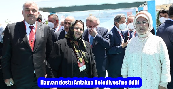 Hayvan dostu Antakya Belediyesi’ne ödül