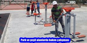 Park ve yeşil alanlarda bakım çalışması