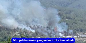 Dörtyol’da orman yangını kontrol altına alındı