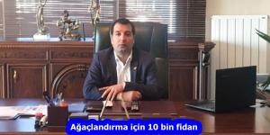 Özel 100 Yıl Sağlık Grubu’ndan ağaçlandırma için 10 bin fidan