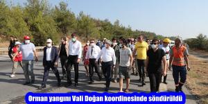 Orman yangını Vali Doğan koordinesinde söndürüldü