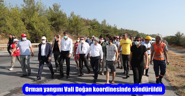 Orman yangını Vali Doğan koordinesinde söndürüldü