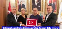 Vatanını Sevenler Federasyonu’ndan Başkan Gül’e ziyaret
