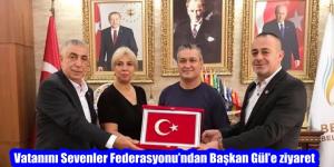 Vatanını Sevenler Federasyonu’ndan Başkan Gül’e ziyaret