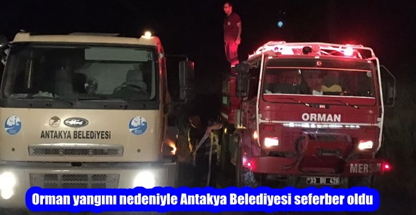Orman yangını nedeniyle Antakya Belediyesi seferber oldu