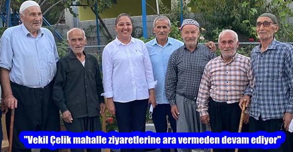 “Vekil Çelik mahalle ziyaretlerine ara vermeden devam ediyor”