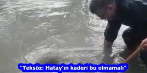 “Teksöz: Hatay’ın kaderi bu olmamalı”