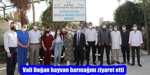 Vali Doğan hayvan barınağını ziyaret etti