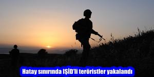 Hatay sınırında IŞİD’li teröristler yakalandı