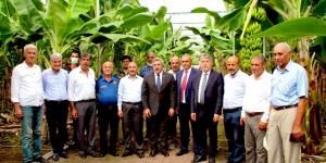 AK Partililer muz serasını ziyaret etti