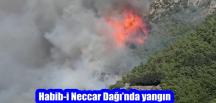 Habib-i Neccar Dağı’nda yangın