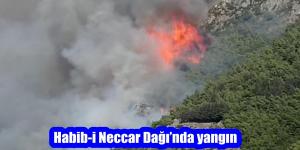 Habib-i Neccar Dağı’nda yangın