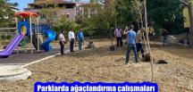Parklarda ağaçlandırma çalışmaları