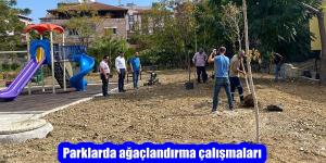Parklarda ağaçlandırma çalışmaları