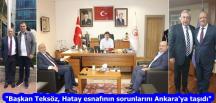 “Başkan Teksöz, Hatay esnafının sorunlarını Ankara’ya taşıdı”