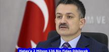 Hatay’a 2 Milyon 136 Bin Fidan Dikilecek