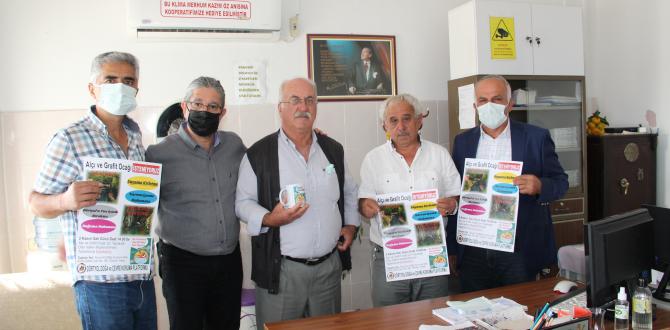 Alçı ve grafit ocağına karşı güç birliği