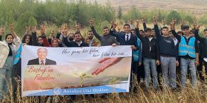 Antakya Ülkü Ocakları Başbuğ Anısına 104 Fidan Dikti