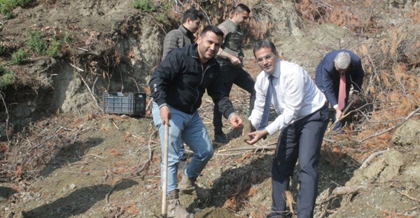 Tecimen, şehit öğretmenler adına fidan dikti