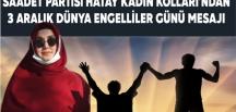 Çiçek: Yetkililer engelliler konusunda adım atmalı