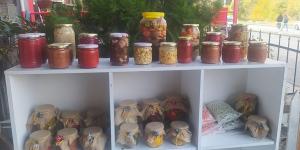 Özel annelerin ev ekonomisine destek