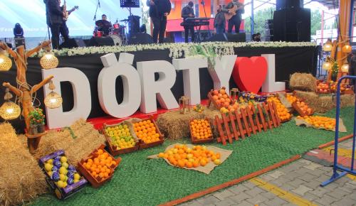 Dörtyol’da “7. İlk Kurşun Kültür Sanat ve Turunçgil Festivali” başladı